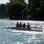 Aviron sur la Marne